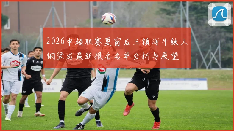 2026中超联赛夏窗后三镇海牛铁人铜梁龙最新报名名单分析与展望